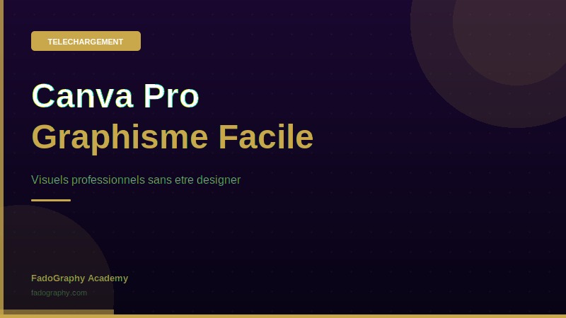 Création Graphique avec Canva Pro